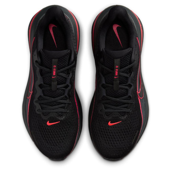Nike Winflo 12